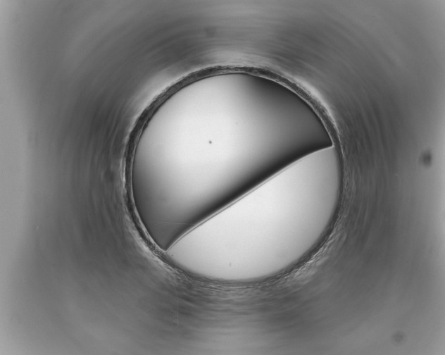 X0000094170935200710260906
