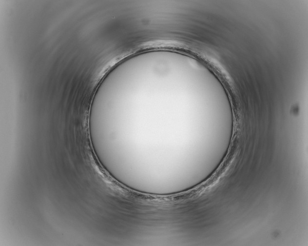 X0000094170937200710260906