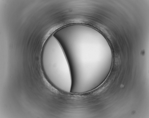 X0000094170938200710260906