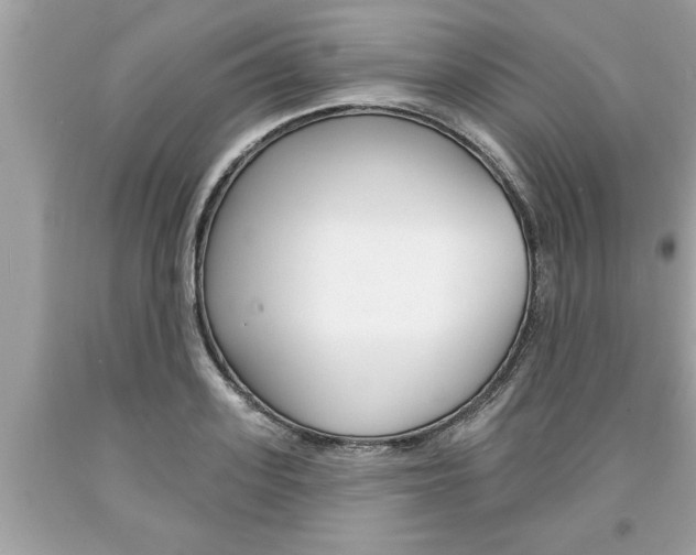 X0000094170939200710260906