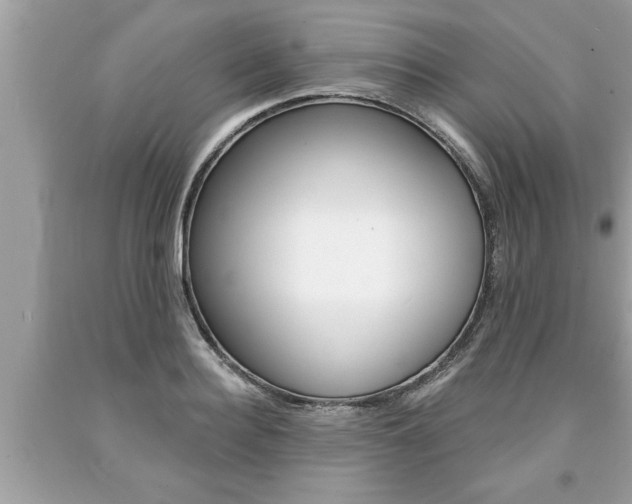 X0000094170940200710260906