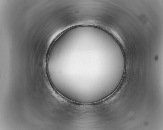 X0000094170944200710260906