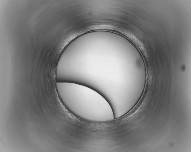 X0000094170945200710260906