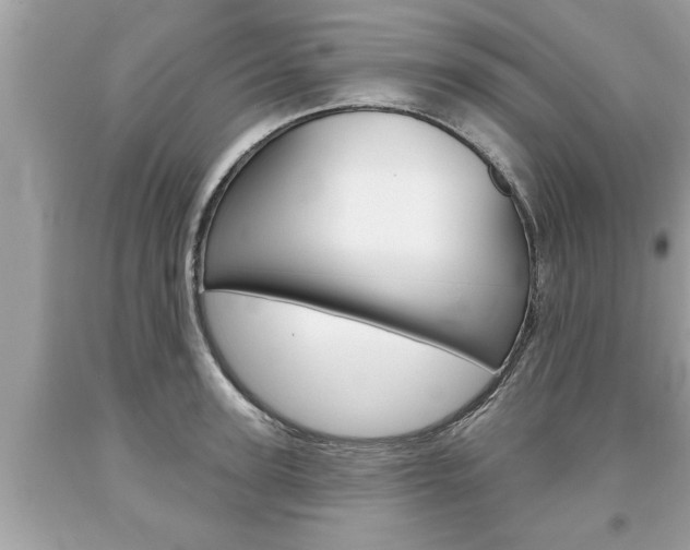 X0000094170947200710260906