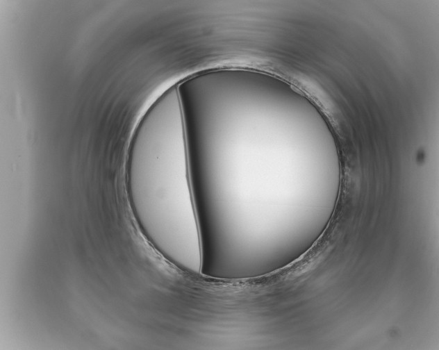 X0000094170948200710260906