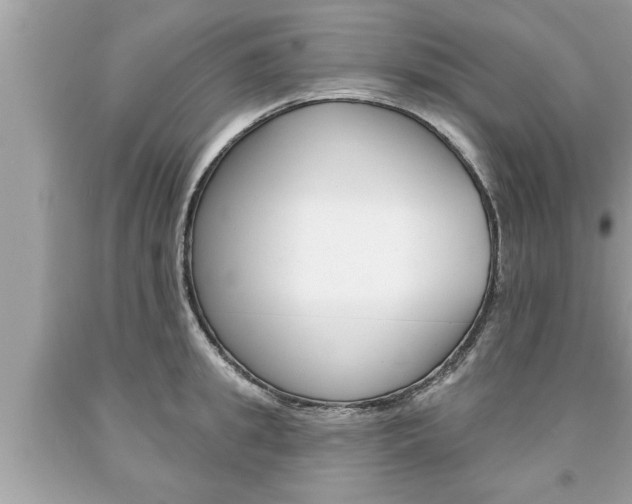 X0000094170949200710260906