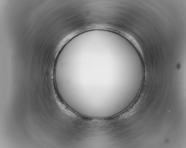X0000094170954200710260906