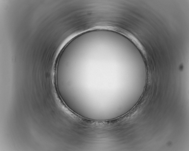 X0000094170955200710260906