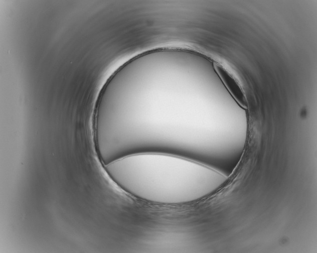X0000094170959200710260906