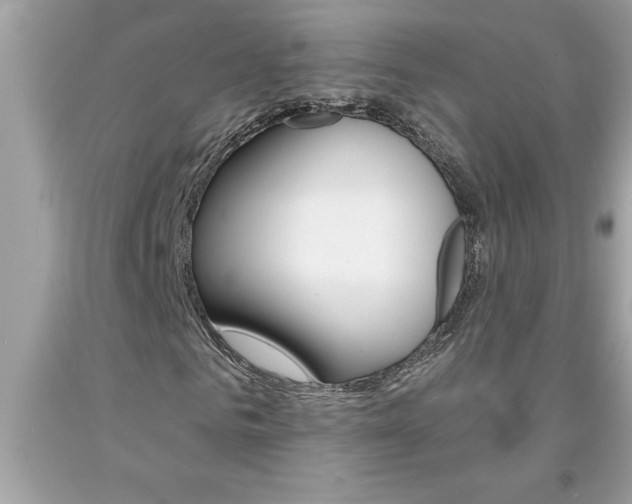 X0000094170961200710260906
