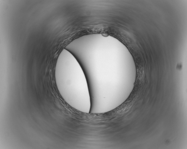 X0000094170962200710260906