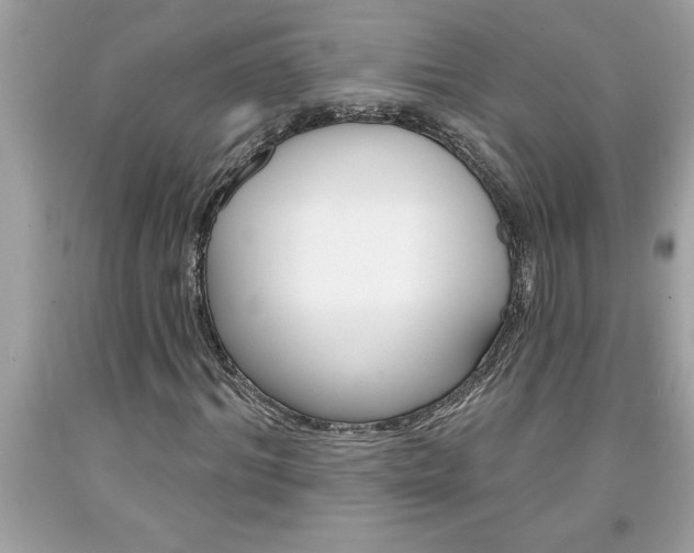 X0000094170964200710260906