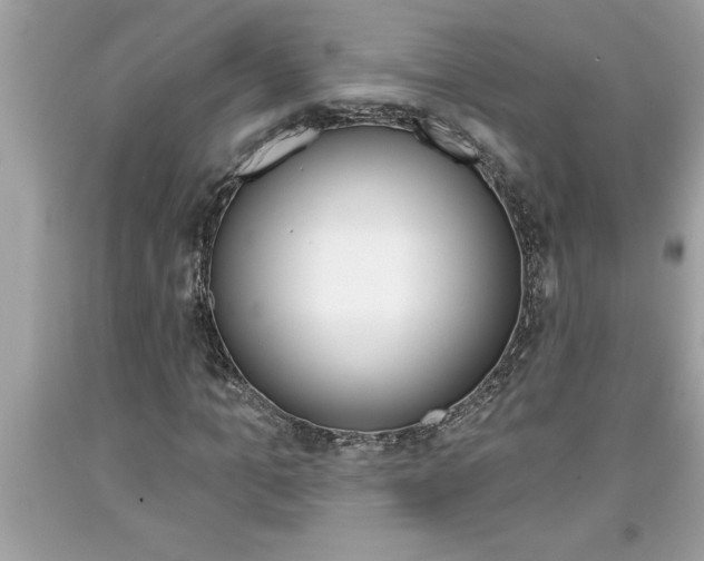 X0000094170965200710260906