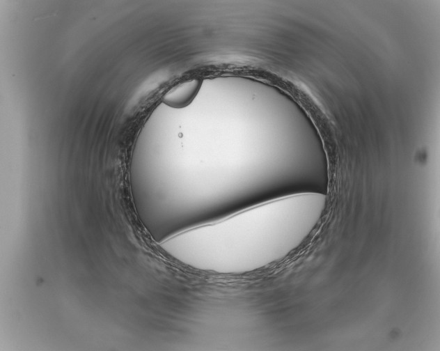 X0000094170967200710260906