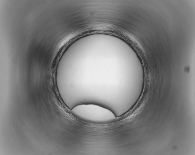 X0000094170970200710260905