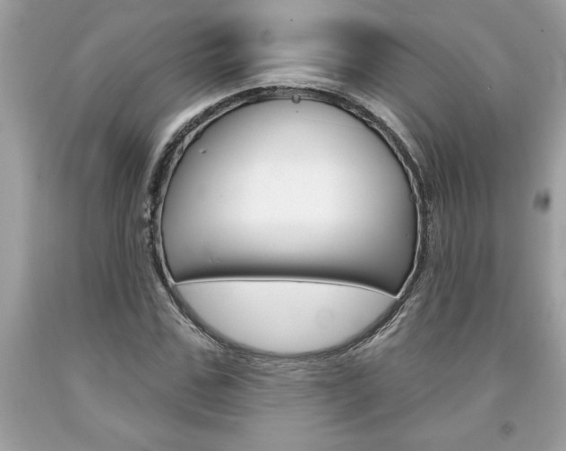 X0000094170971200710260905