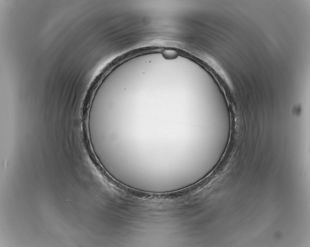 X0000094170972200710260905