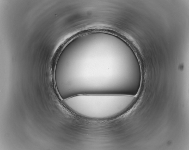 X0000094170973200710260905