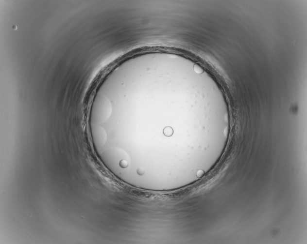 X0000094170974200710260905