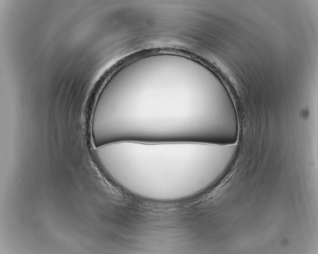 X0000094170975200710260905