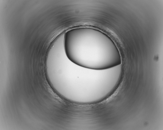 X0000094170977200710260905