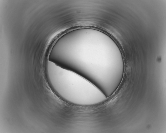 X0000094170979200710260905