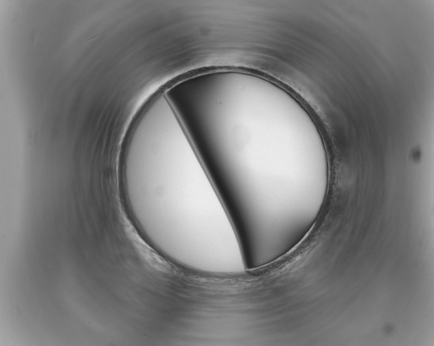 X0000094170980200710260905
