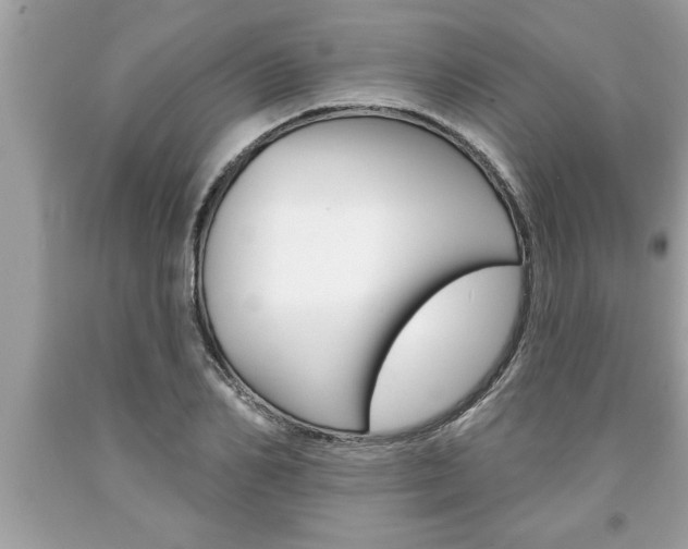 X0000094170982200710260905