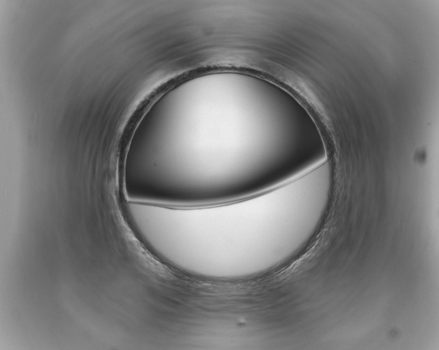 X0000094170984200710260905