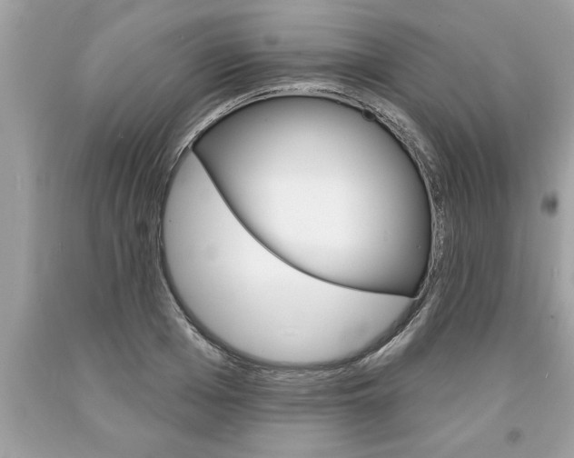 X0000094170985200710260905