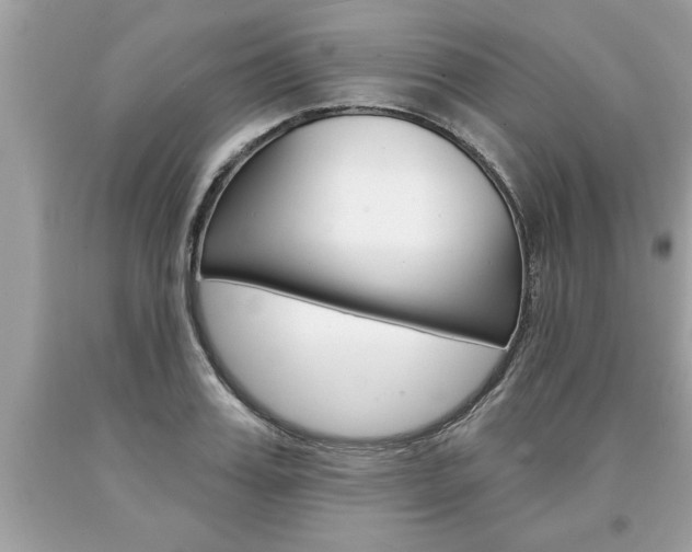 X0000094170987200710260905
