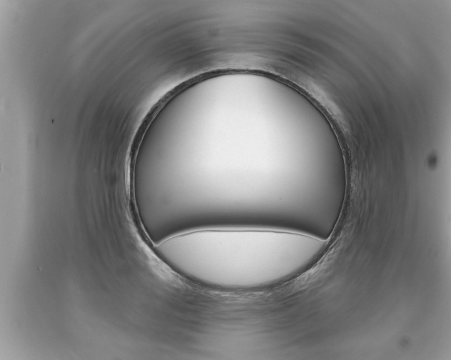 X0000094170988200710260905