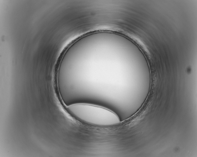 X0000094170991200710260905