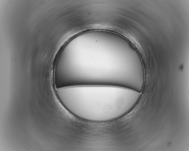 X0000094170992200710260905