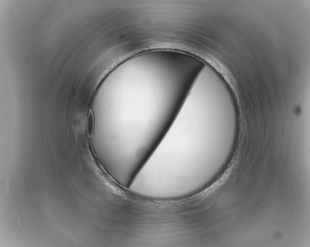 X0000094170993200710260905