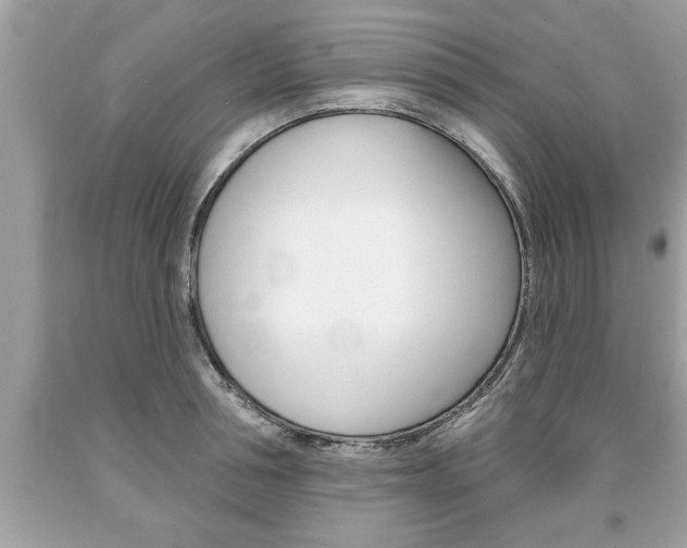 X0000094170994200710260905