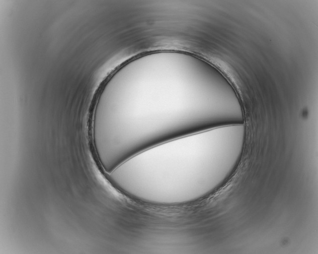 X0000094170995200710260905