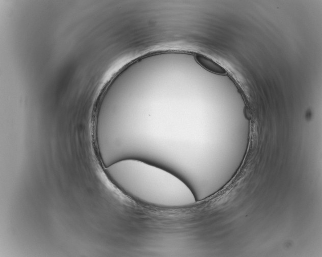 X0000094170998200710260905