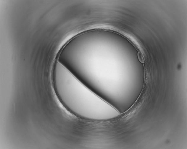 X0000094170999200710260905