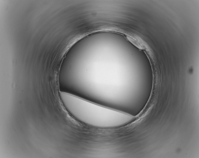 X0000094171001200710260905