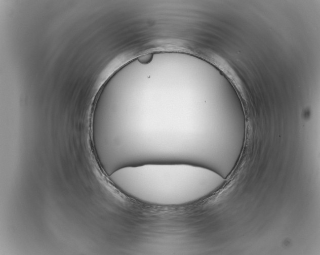 X0000094171002200710260905