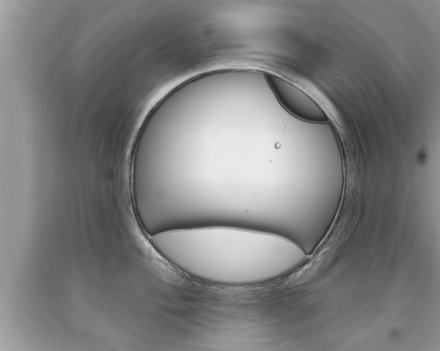 X0000094171004200710260905