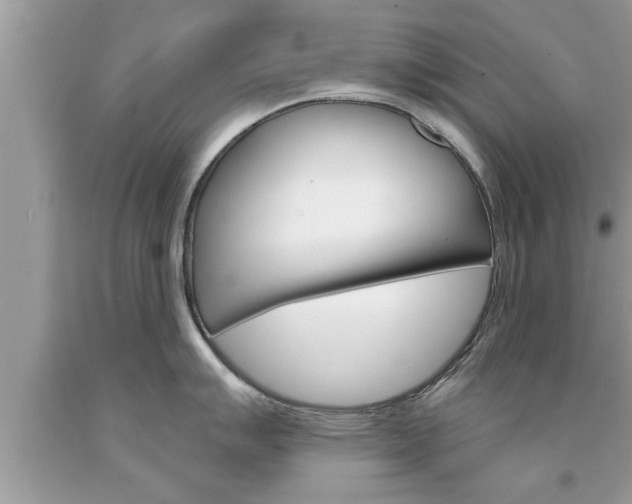 X0000094171007200710260905