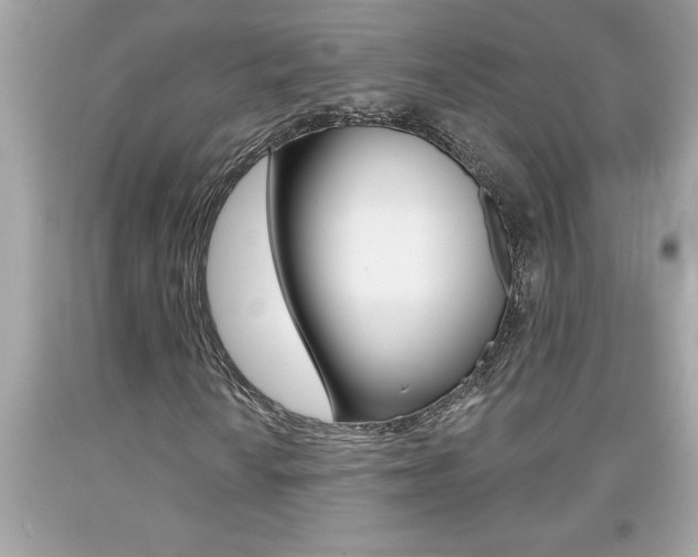 X0000094171010200710260904