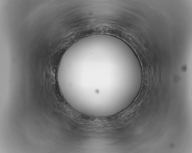X0000094171013200710260904