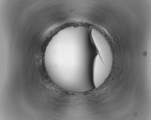 X0000094171016200710260904