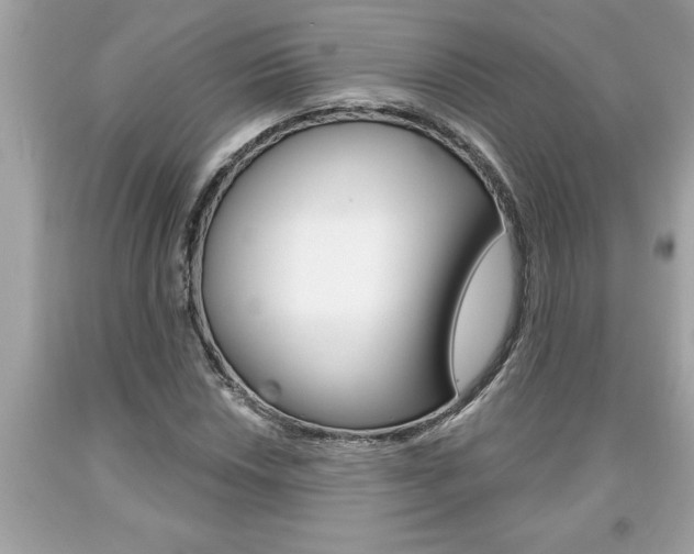 X0000094171018200710260904