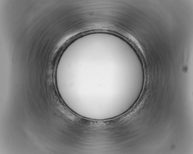 X0000094171019200710260904