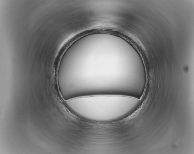 X0000094171021200710260904