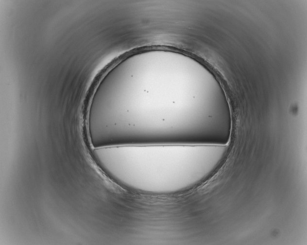 X0000094171024200710260904
